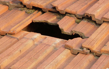 roof repair Woodleigh, Devon